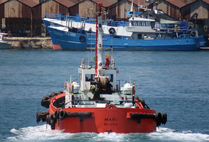 MARI General Cargo IMO 8216851 photo 9