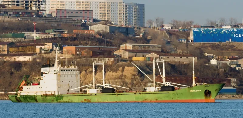 MERCURY General Cargo IMO 8216916