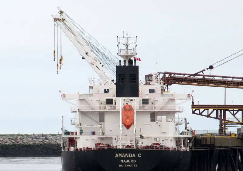 EUNICE Bulk Carrier IMO 8217518