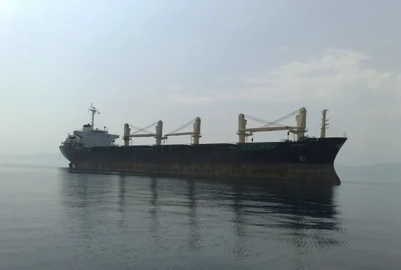 EUNICE Bulk Carrier IMO 8217518 photo 2