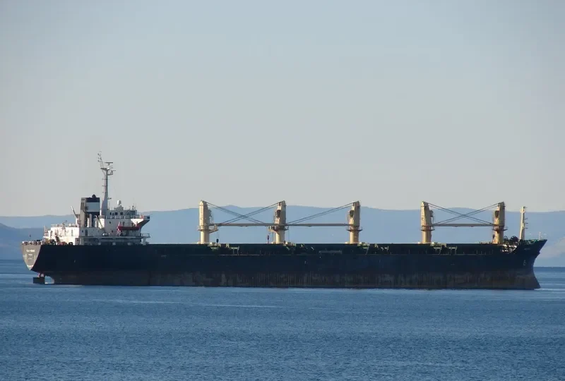 EUNICE Bulk Carrier IMO 8217518 photo 3