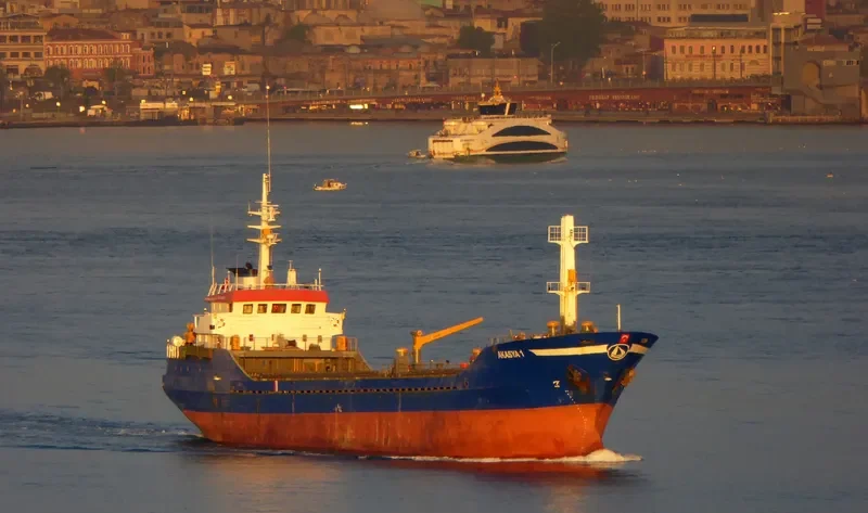 SEALOCK General Cargo IMO 8218380 photo 3