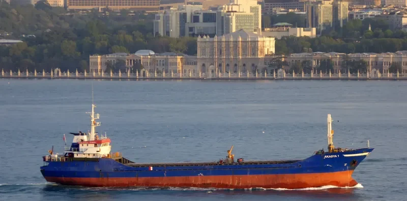 SEALOCK General Cargo IMO 8218380 photo 4