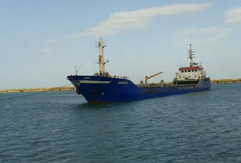 SEALOCK General Cargo IMO 8218380 photo 8