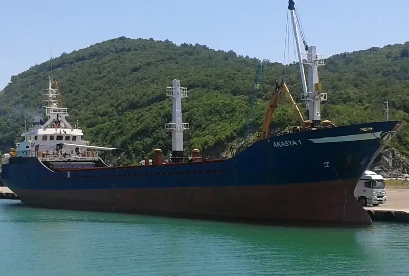 SEALOCK General Cargo IMO 8218380 photo 9