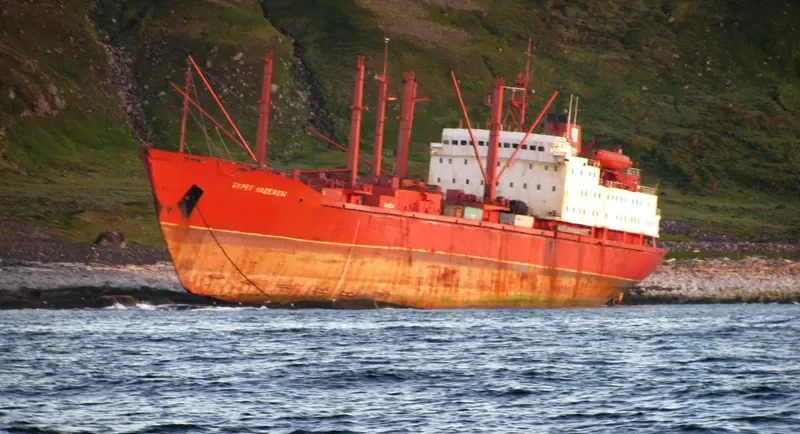 BEREG NADEZHDY General Cargo IMO 8218603