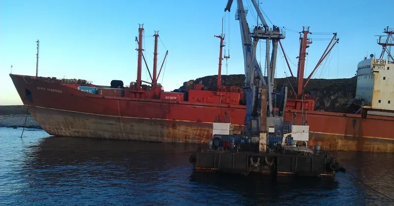 BEREG NADEZHDY General Cargo IMO 8218603 photo 5