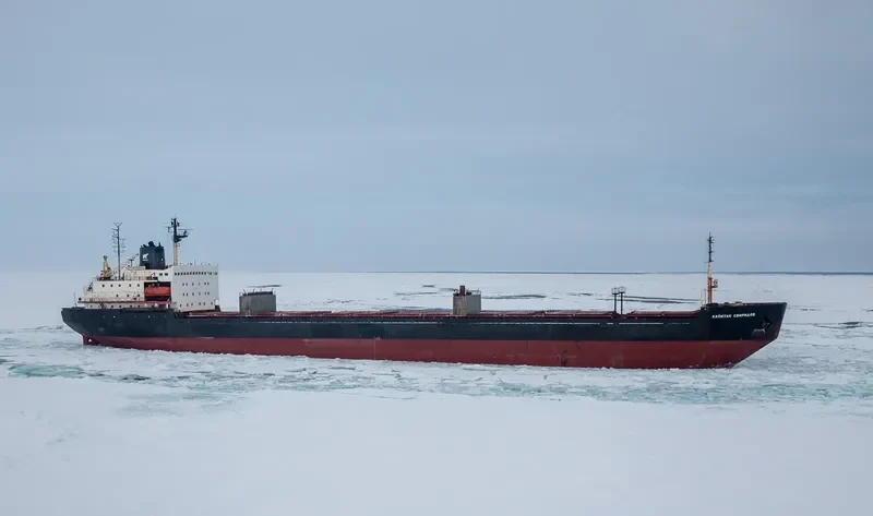 KAPITAN SVIRIDOV Bulk Carrier IMO 8218706 photo 4