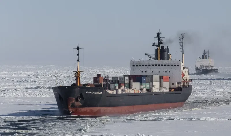 KAPITAN SVIRIDOV Bulk Carrier IMO 8218706 photo 5
