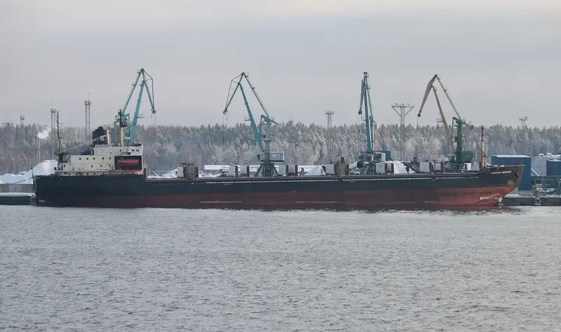 KAPITAN SVIRIDOV Bulk Carrier IMO 8218706 photo 10