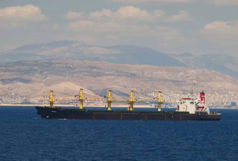 MINXI Bulk Carrier IMO 8220101