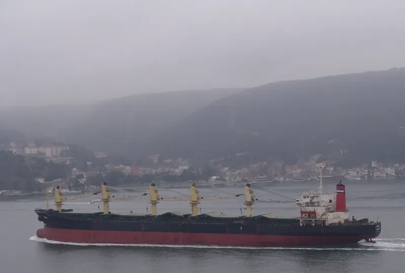 MINXI Bulk Carrier IMO 8220101 photo 2