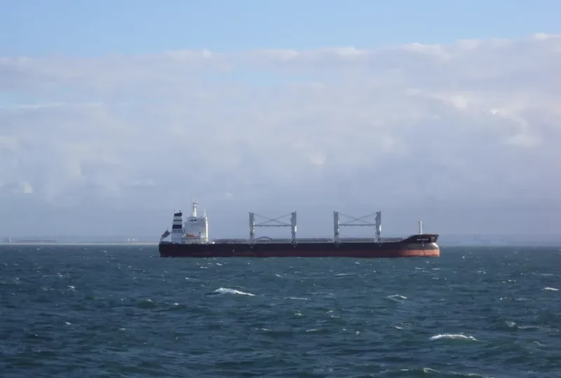 SANTO SUCCESS Bulk Carrier IMO 8220175