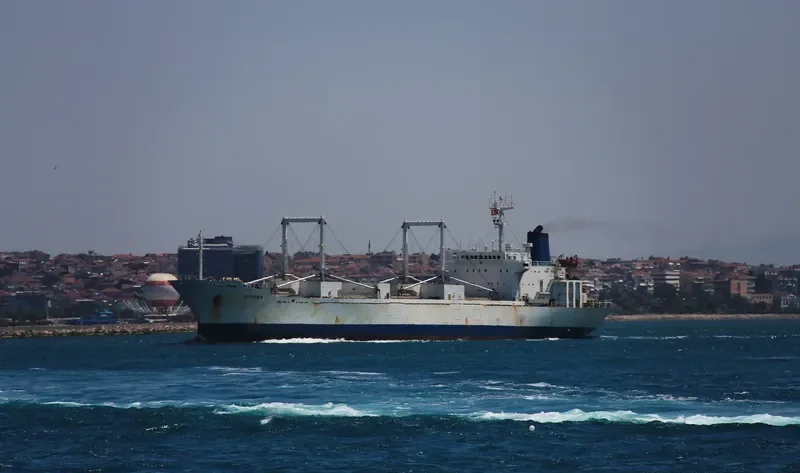 VIVIANA General Cargo IMO 8220333 photo 5
