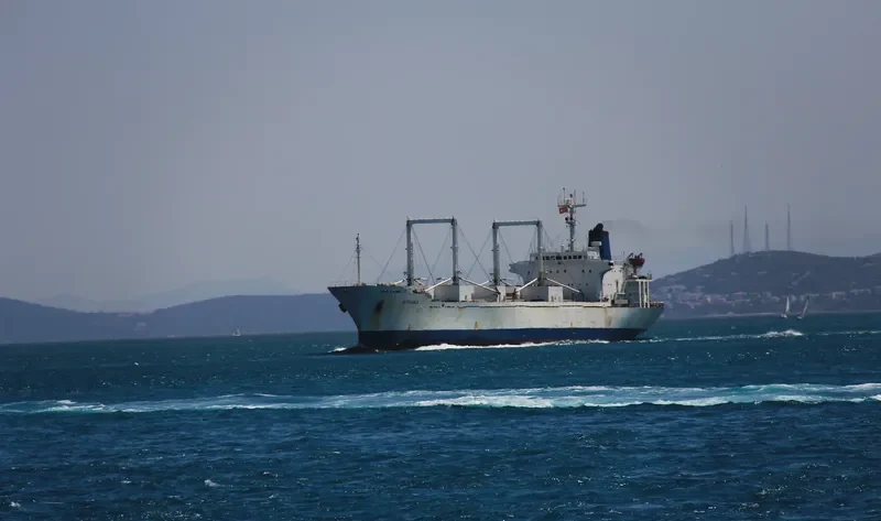 VIVIANA General Cargo IMO 8220333 photo 6