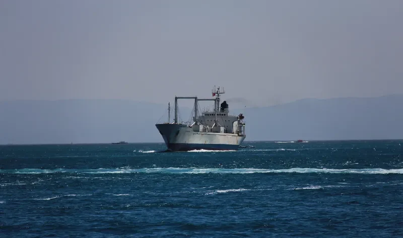 VIVIANA General Cargo IMO 8220333 photo 7
