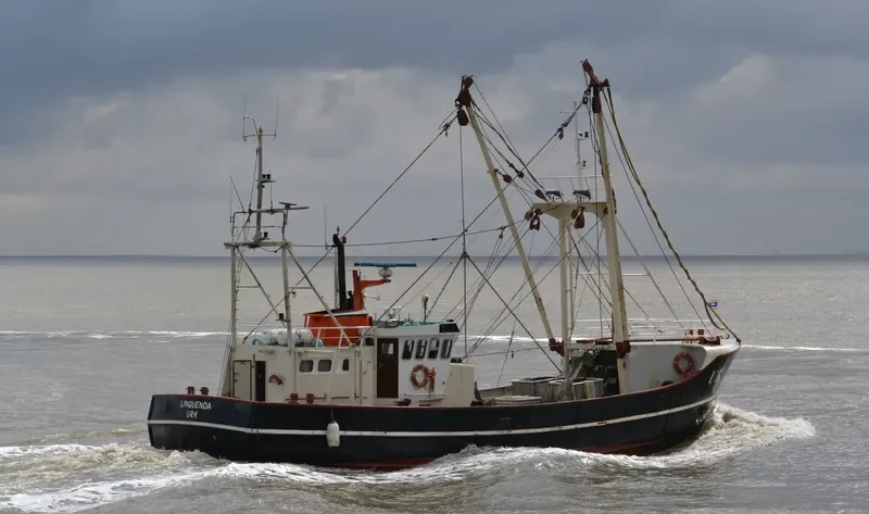 UK 80 LINQUENDA General Cargo IMO 8220474