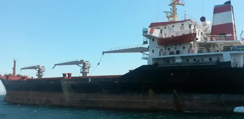DADALI General Cargo IMO 8220759 photo 6