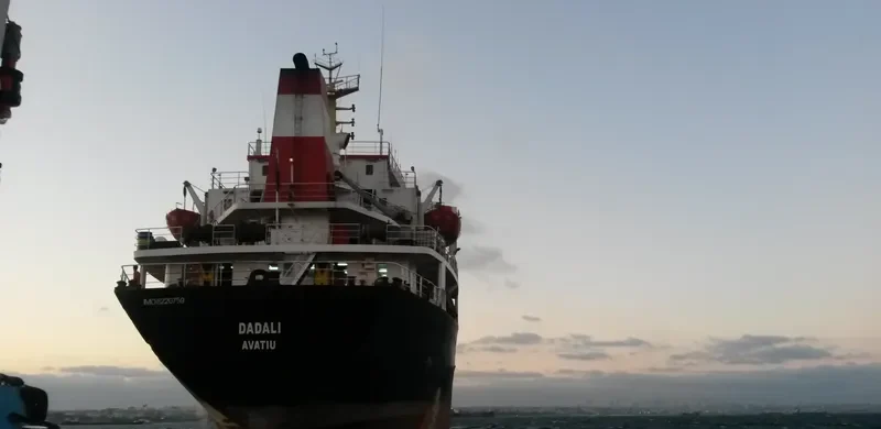 DADALI General Cargo IMO 8220759 photo 7