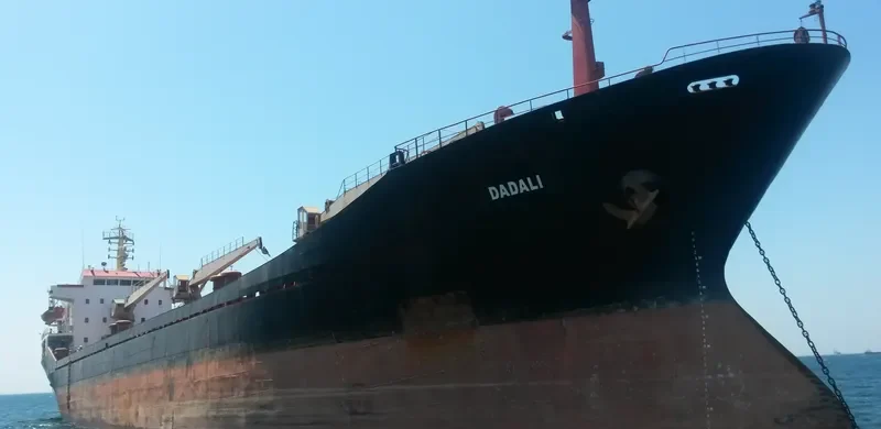 DADALI General Cargo IMO 8220759 photo 8