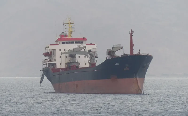 DADALI General Cargo IMO 8220759 photo 10