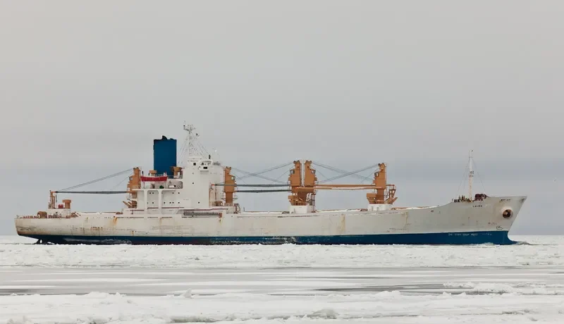 LAURA General Cargo IMO 8221832 photo 3