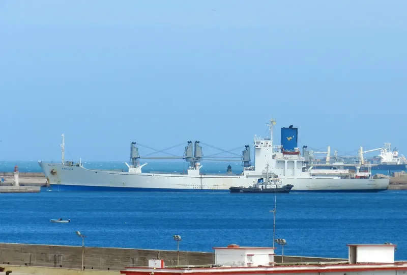 AMALIA General Cargo IMO 8221868