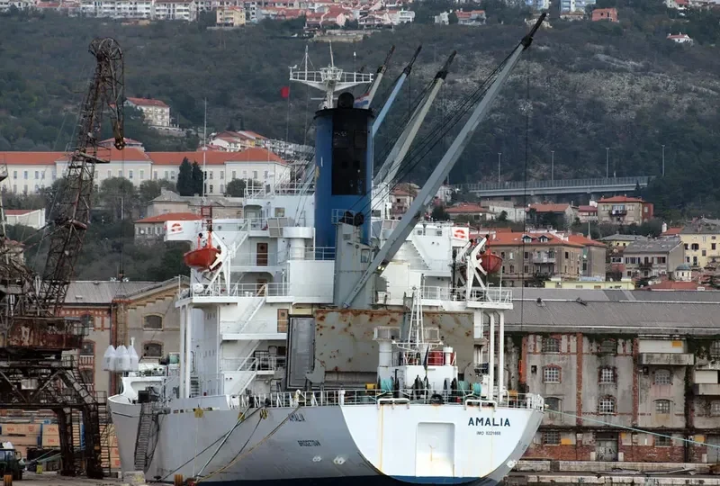 AMALIA General Cargo IMO 8221868 photo 2