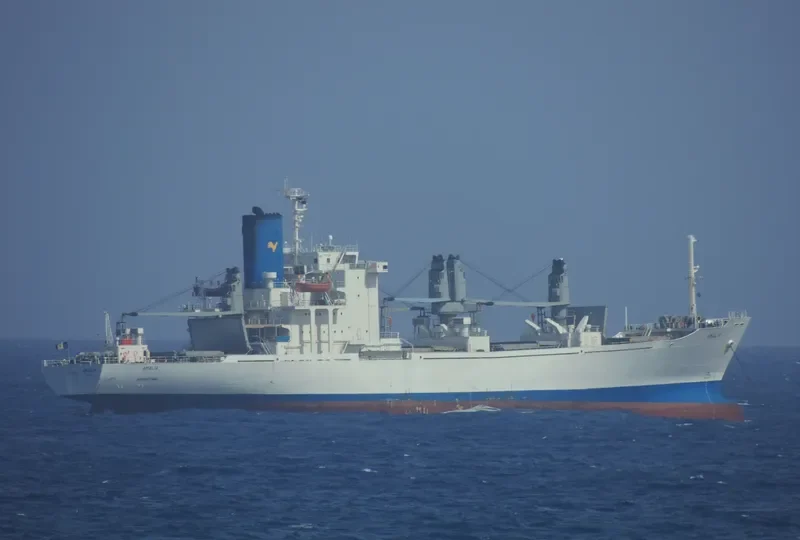 AMALIA General Cargo IMO 8221868 photo 3