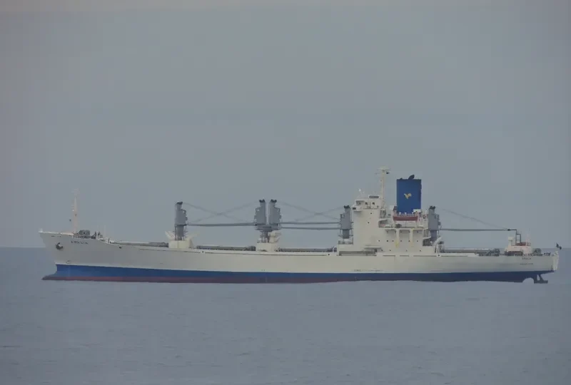 AMALIA General Cargo IMO 8221868 photo 5