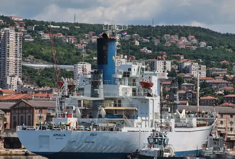 AMALIA General Cargo IMO 8221868 photo 6