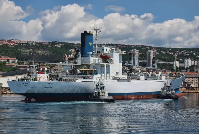 AMALIA General Cargo IMO 8221868 photo 7