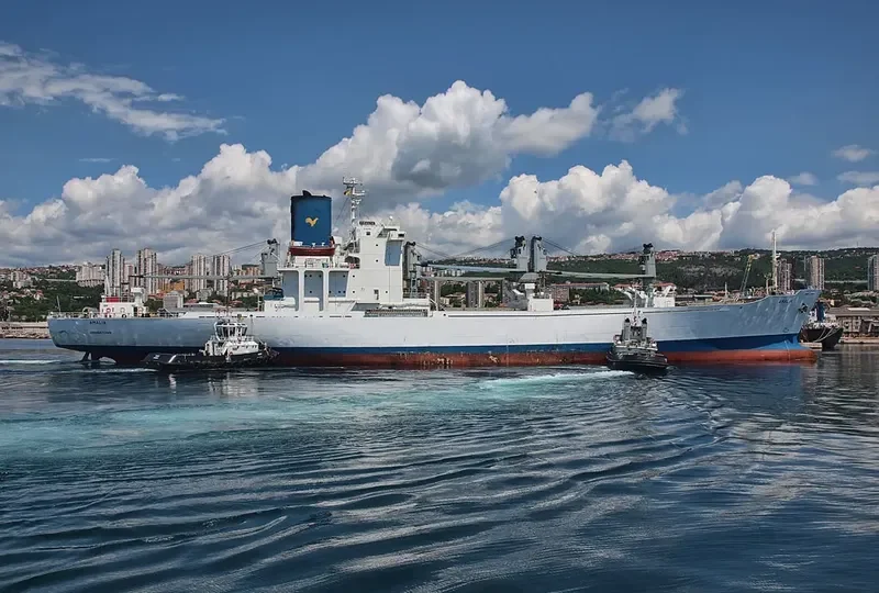 AMALIA General Cargo IMO 8221868 photo 8