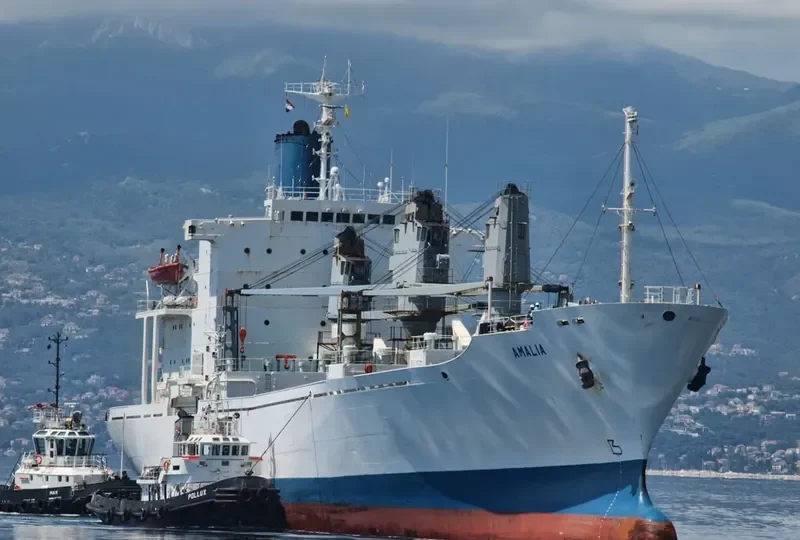 AMALIA General Cargo IMO 8221868 photo 9