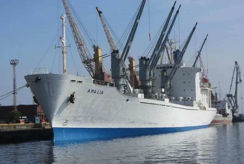AMALIA General Cargo IMO 8221868 photo 10