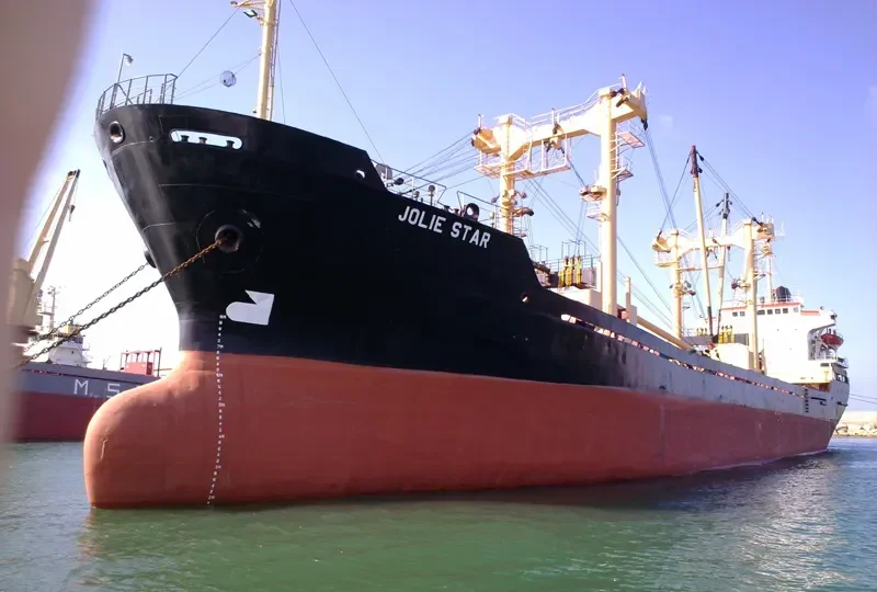 EKRAM General Cargo IMO 8221911