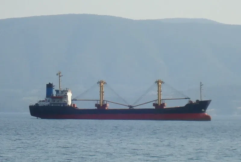 EKRAM General Cargo IMO 8221911 photo 9
