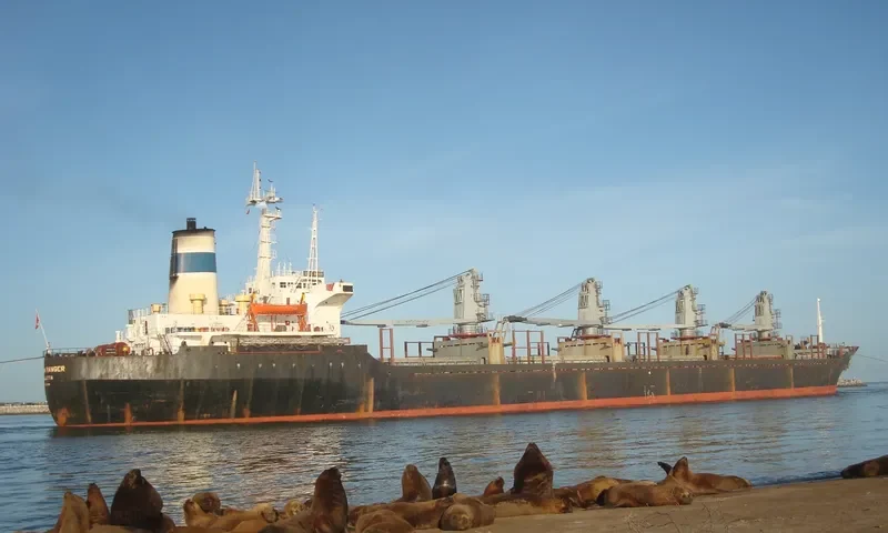 OCEAN RANGER Bulk Carrier IMO 8221959 photo 4