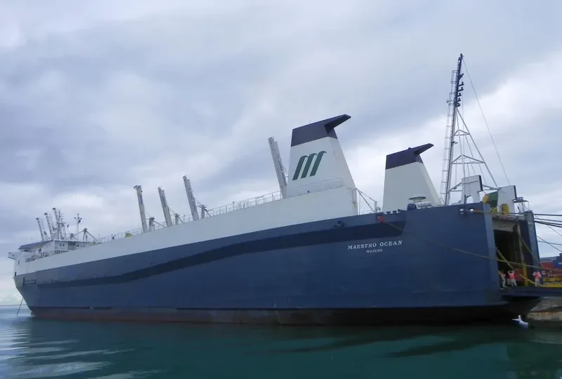 MAESTRO OCEAN Ro-Ro IMO 8222745 photo 3