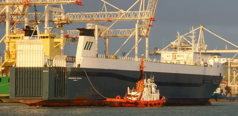 MAESTRO OCEAN Ro-Ro IMO 8222745 photo 7