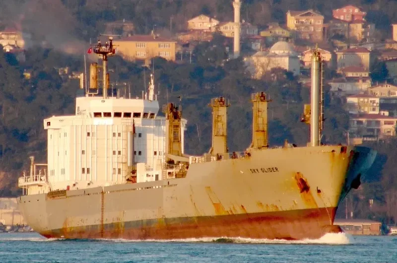 SKY GLIDER General Cargo IMO 8222989 photo 2