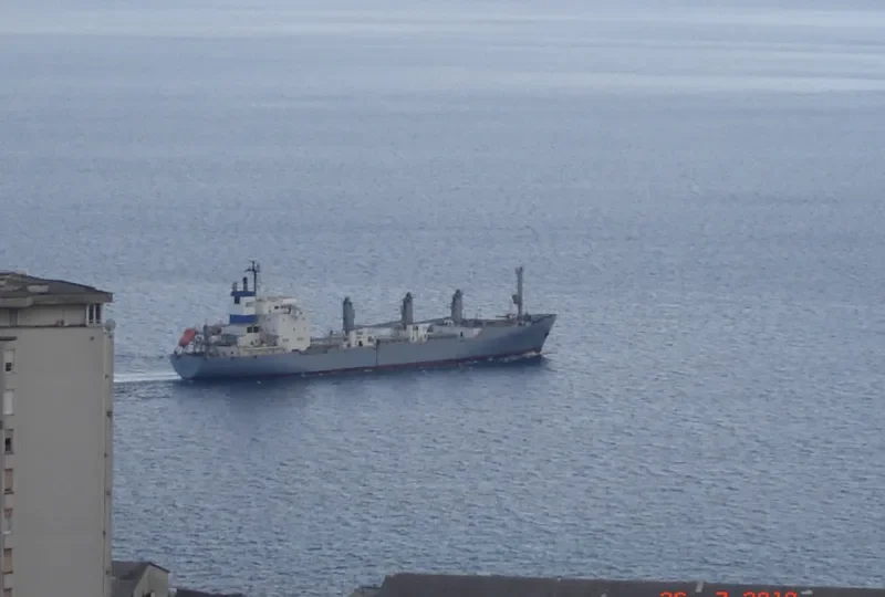 SKY GLIDER General Cargo IMO 8222989 photo 3