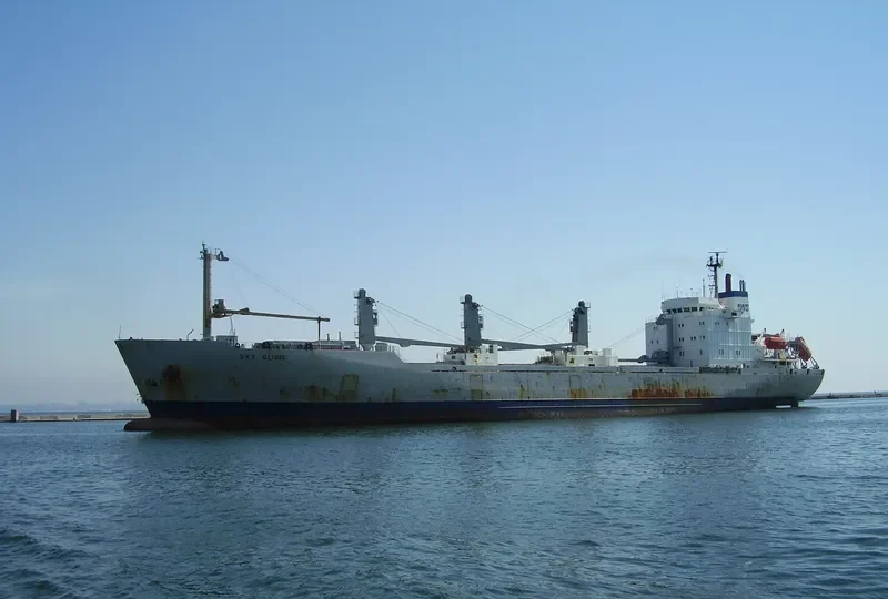 SKY GLIDER General Cargo IMO 8222989 photo 5