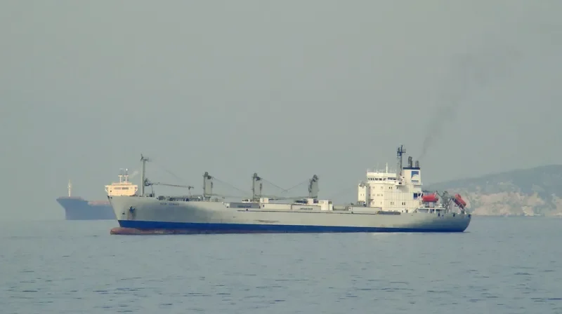 SKY GLIDER General Cargo IMO 8222989 photo 8