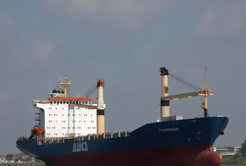 FLAMENGO Container Ship IMO 8223012