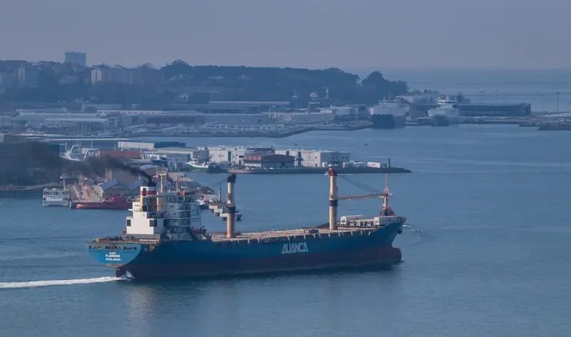 FLAMENGO Container Ship IMO 8223012 photo 2