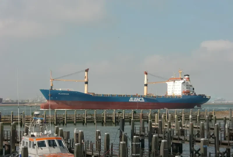 FLAMENGO Container Ship IMO 8223012 photo 6