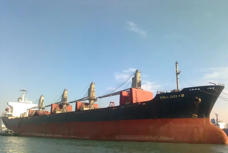EVER GLORY III Bulk Carrier IMO 8223347 photo 2