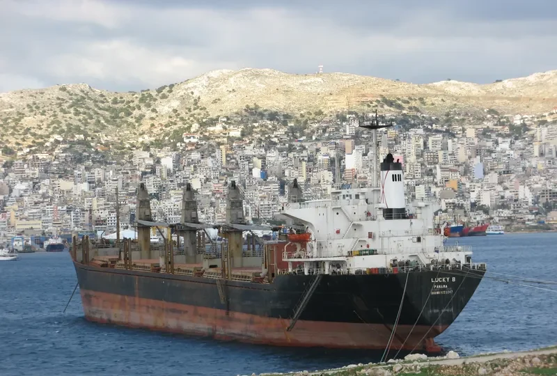 EVER GLORY III Bulk Carrier IMO 8223347 photo 5
