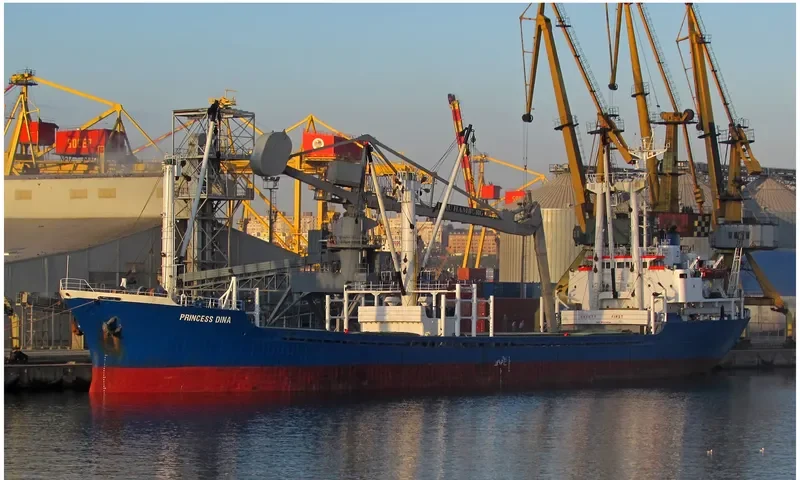 PRINCESS DINA General Cargo IMO 8223854 photo 2